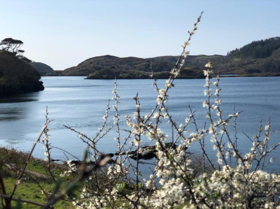סקיברין Lough Hyne Cottage מראה חיצוני תמונה